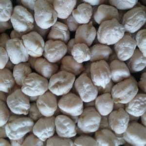Garbanzo