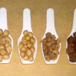 Variedades de garbanzo andaluz tradicional