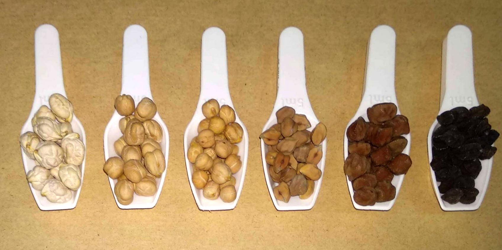 Variedades de garbanzo andaluz tradicional
