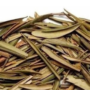 hoja de olivo