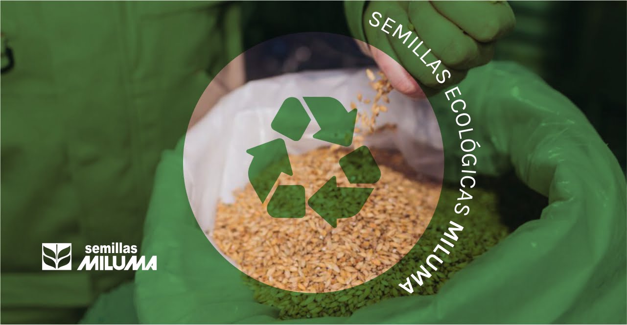 semillas ecológicas, el futuro de la agricultura